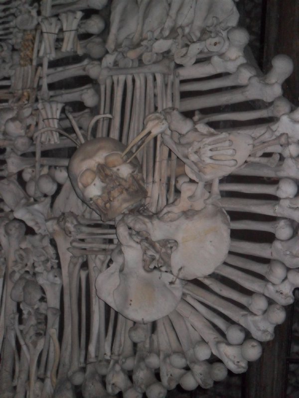 Up close of the skull on the shield