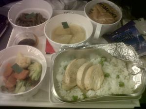 Plane meal!