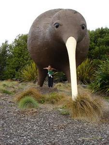 The biggest Kiwi in NZ!