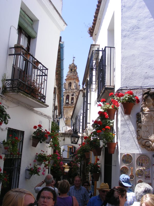 Famous street in Córdoba