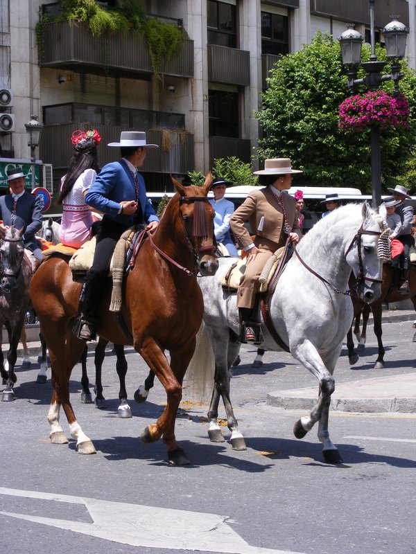 Horses on Parade