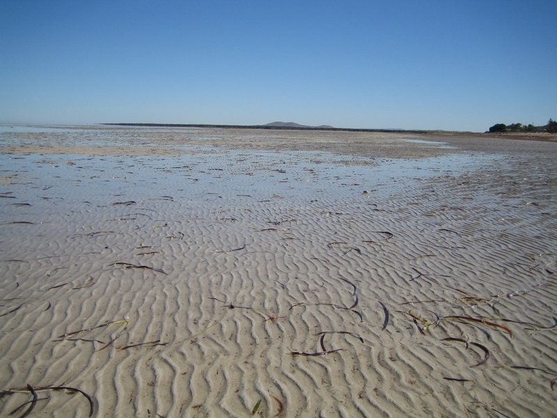 Whyalla Beach IMG 6389