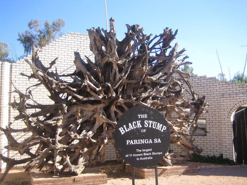 The Black Stump Paringa IMG 6796