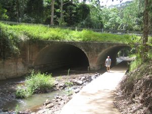 Path under bridge to Browns Falls IMG 8068