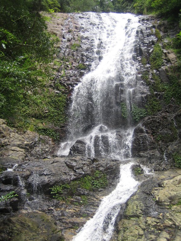 Tristania Falls Dorrigo NP