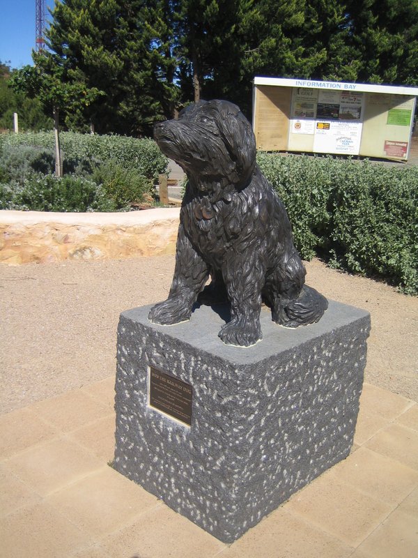 Statue of Bob the Railway Dog IMG 8408