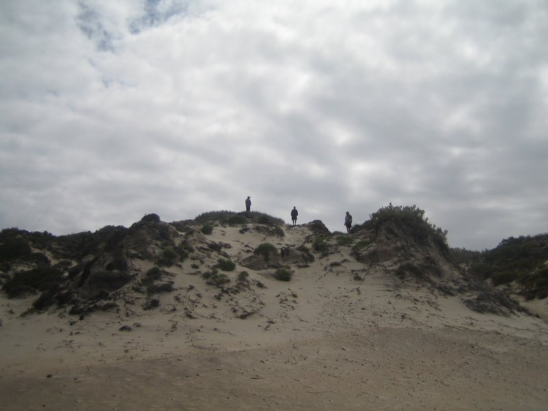 Top of the Sand Dune IMG 8456