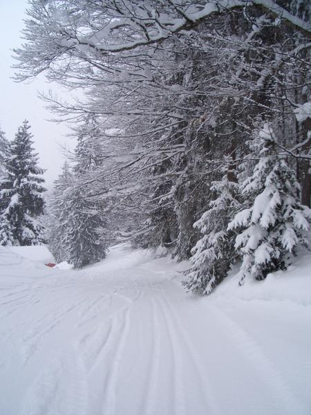 The ski trail to the bottom of the mountain