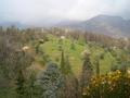 View from Villa la Collina