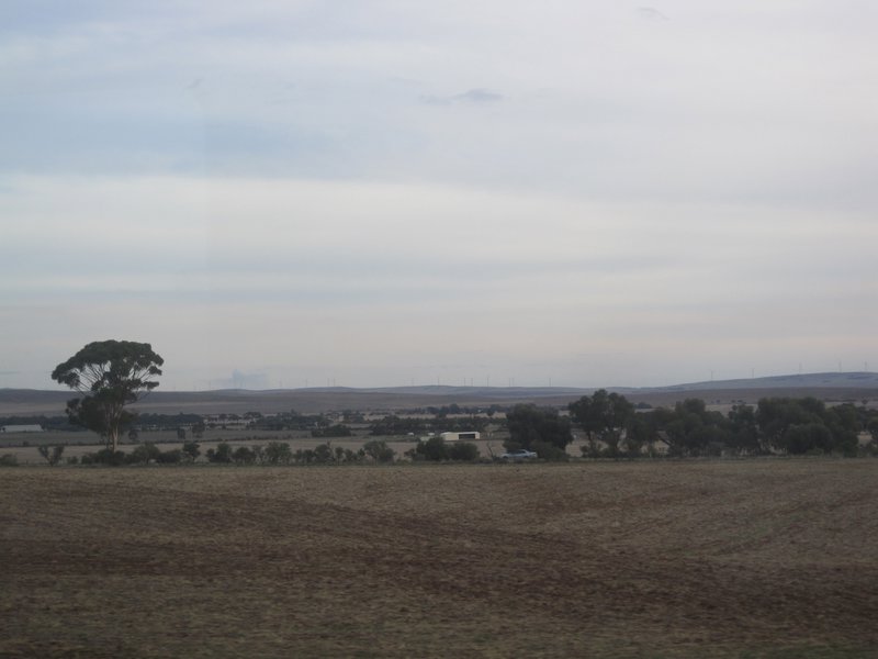 Farmland in Southern Australia