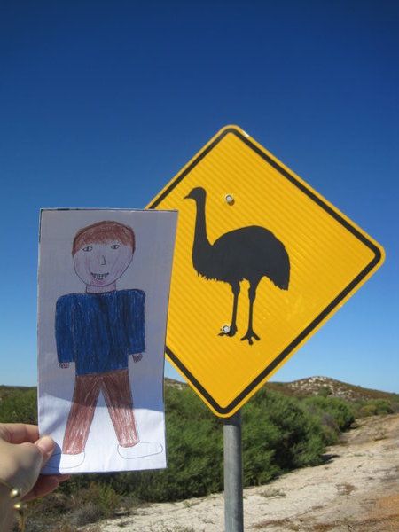 Looking out for Emus