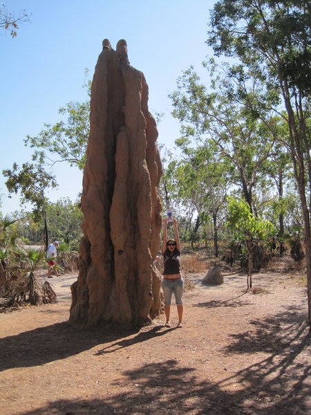 Termite mound type no.3