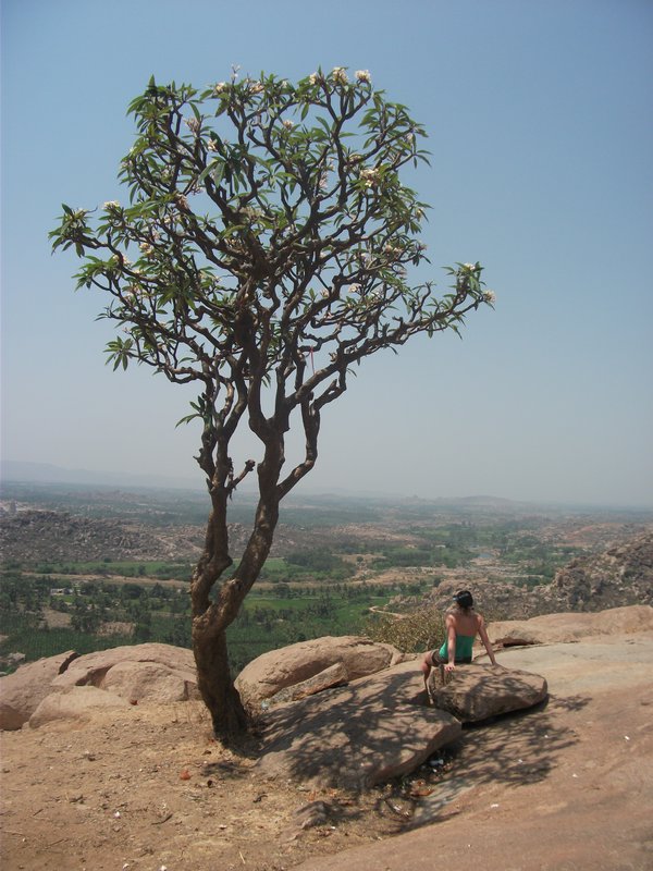 Hanuman mount