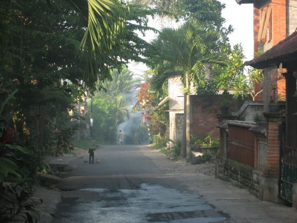 Quiet street