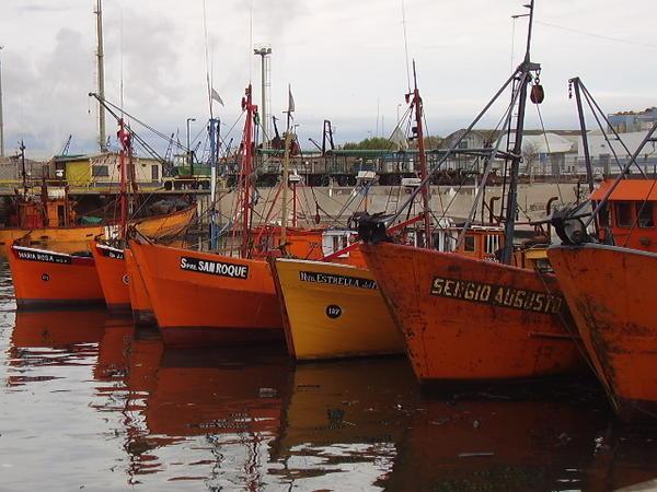 Barcos pesqueiros