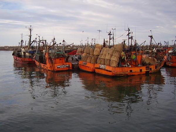 Barcos de Pesca com redes
