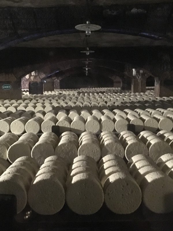 Hundreds of maturing cheeses