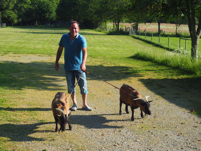 Neil and his goats 
