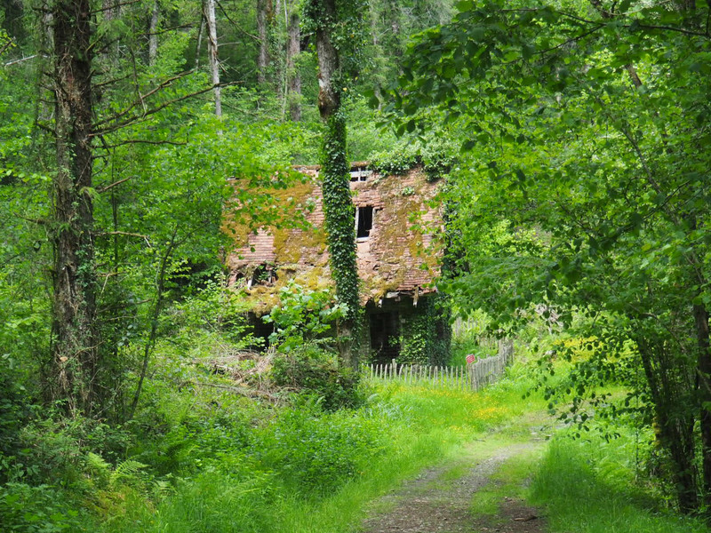 Forest wardens old cottage