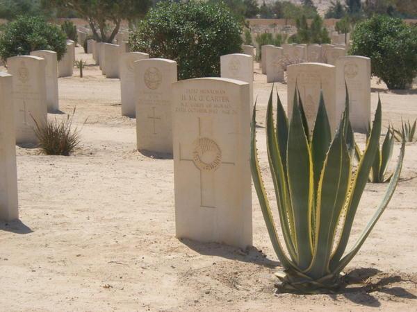 Grave of a NZ Soldier