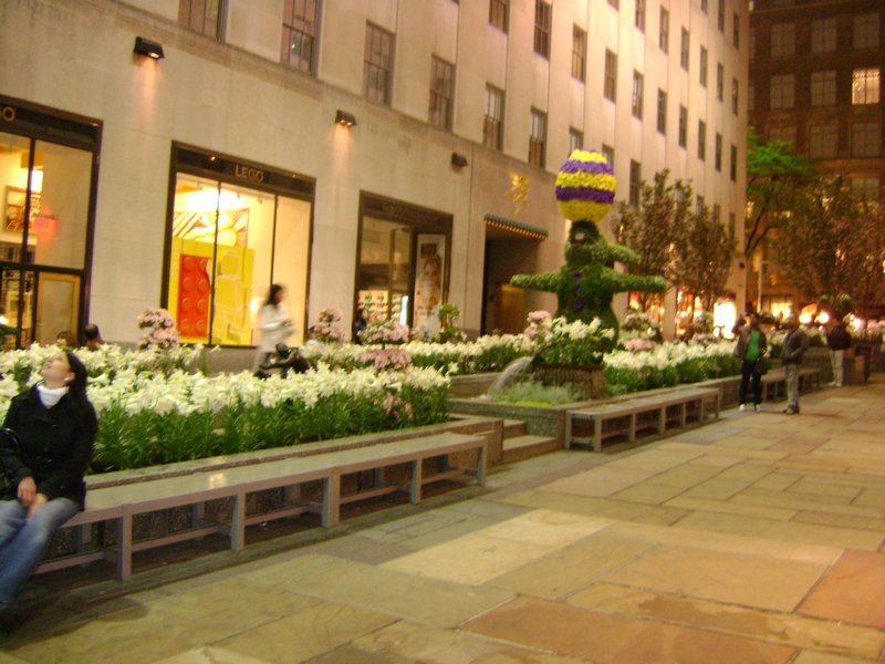 Flowers at Rockefeller Plaza