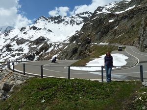 Swiss Alps Pass