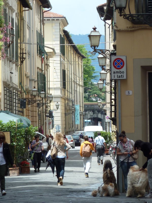Lucca Street