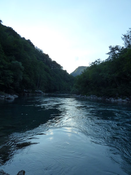 Tara  River