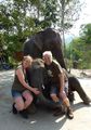 Fantastic day with the elephants
