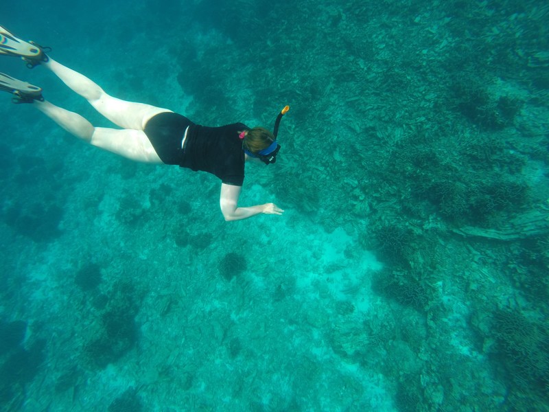 Diving around Similian Islands