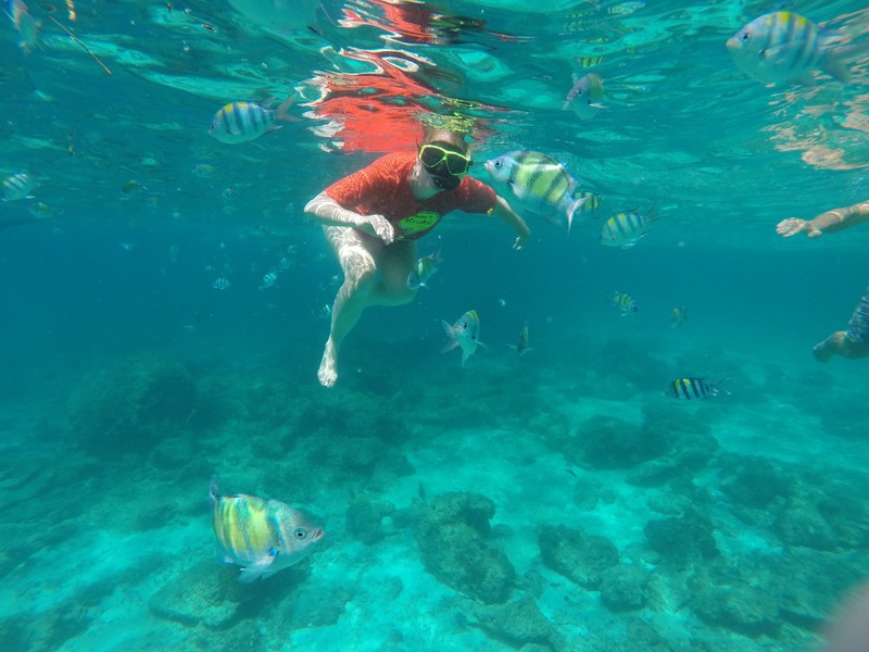 Diving around Phi Phi Islands
