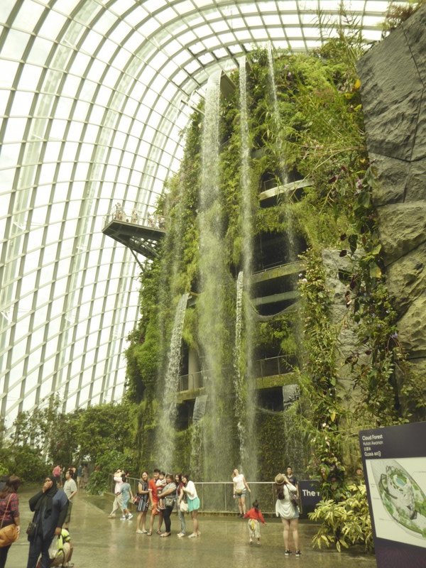 Cloud Forest-Gardens by the Bay