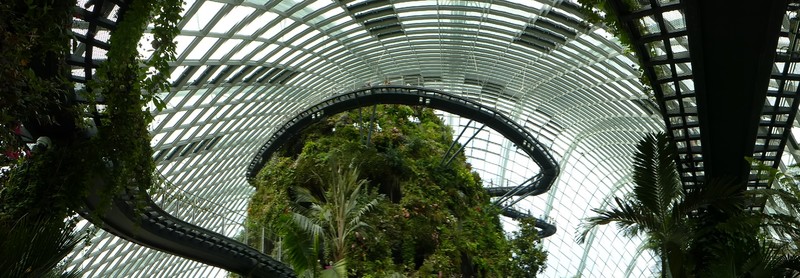Cloud Forest-Gardens by the Bay