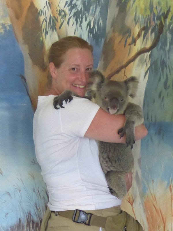 Koala at Kuranda