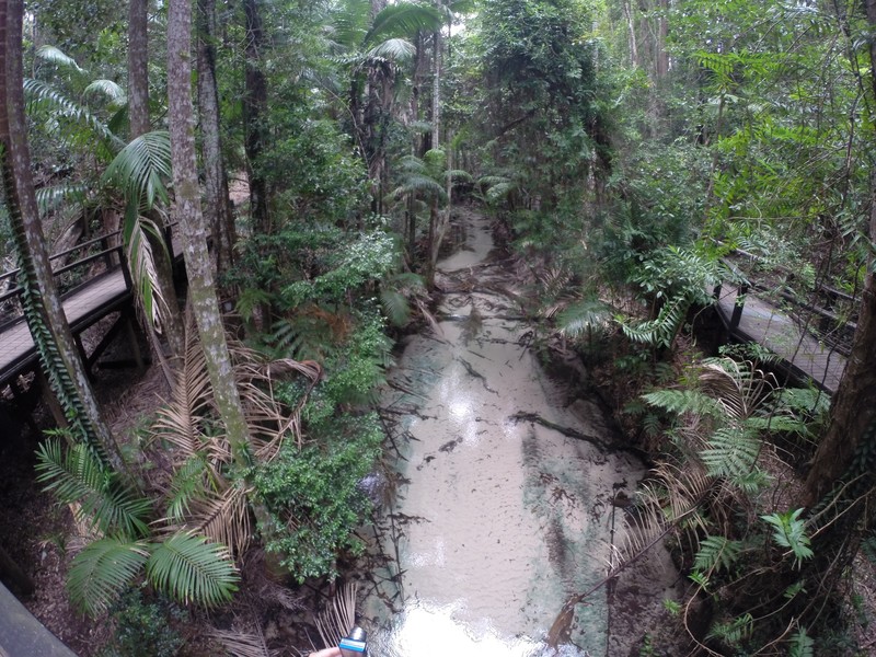 Clear water creek, Fraser Island