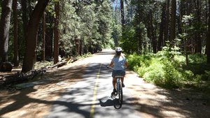 Cycling through Yosemite Valley