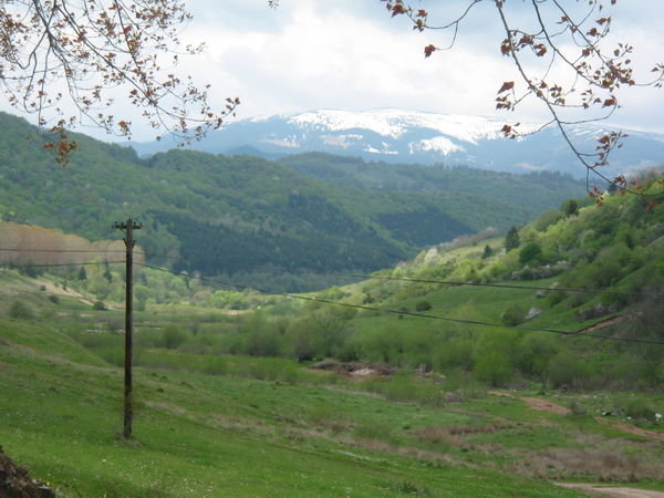 Mountain Vladeasa 