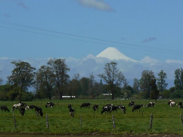 Volcán Osorno from the north