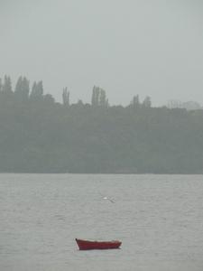 Landscape in grey