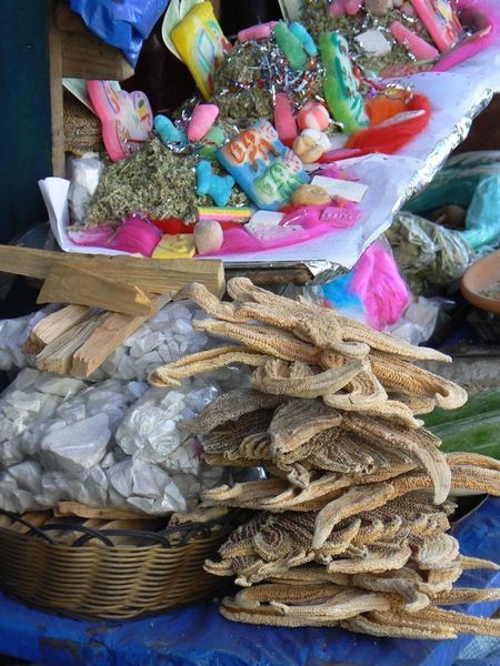 Dried starfish and other items for offerings
