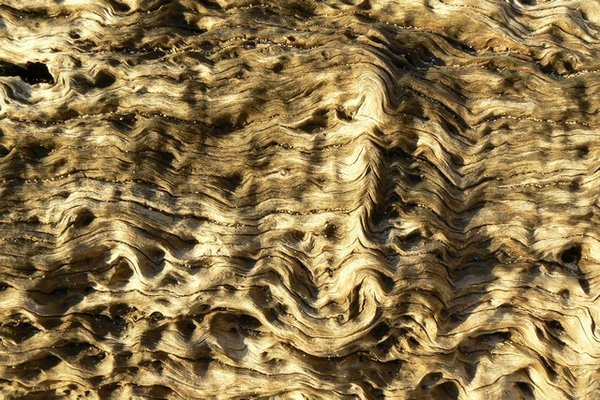 Wave pattern on driftwood, LMI