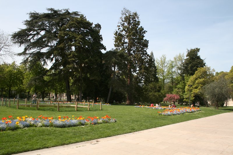 Flowers in the park