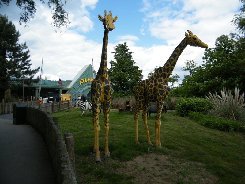 Lego Giraffes