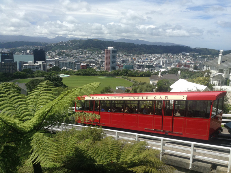 Wellington fron the top of the funicular