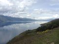 Amazing views at every turn on the way to Haast