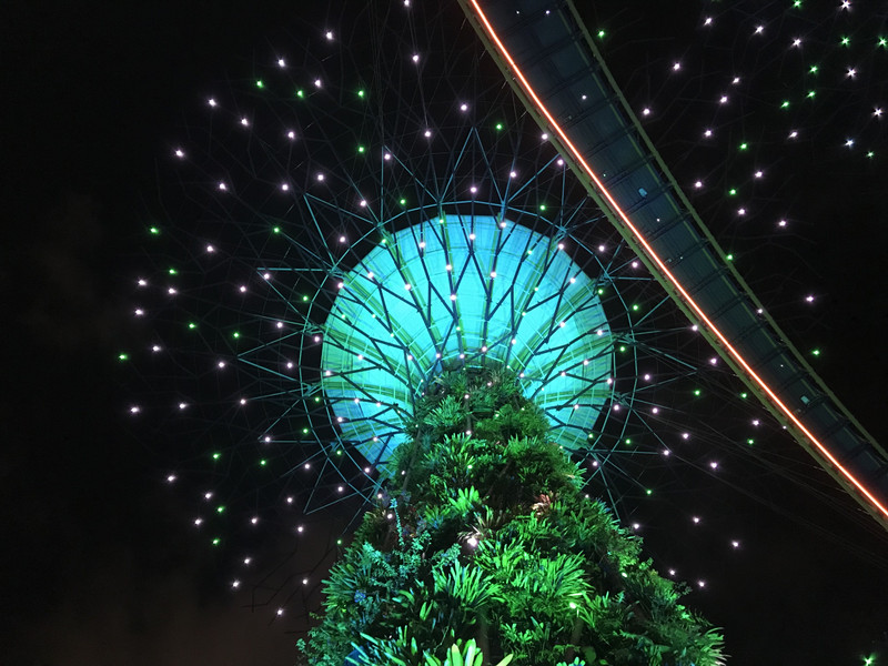 Light show at the Super Trees in Gardens ByThe Bay