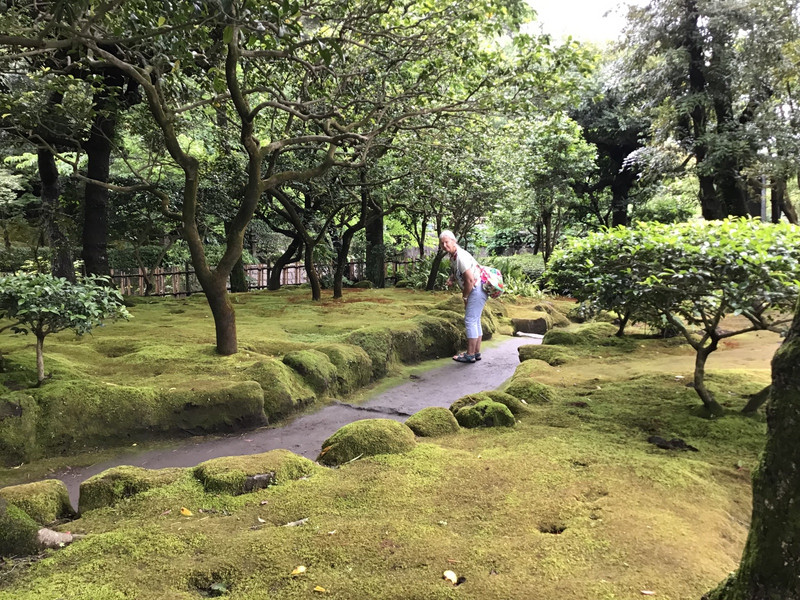 Sengan-en - Moss garden