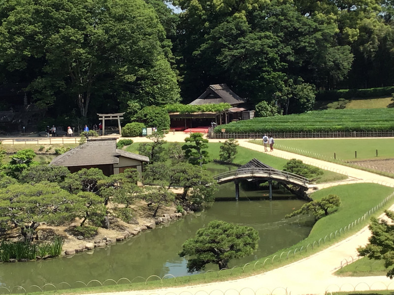 Korakuen Garden: The view from the hill