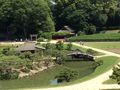 Korakuen Garden: The view from the hill