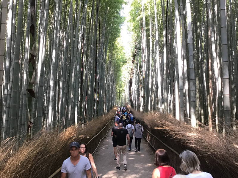 Bamboo walk - Arashyama